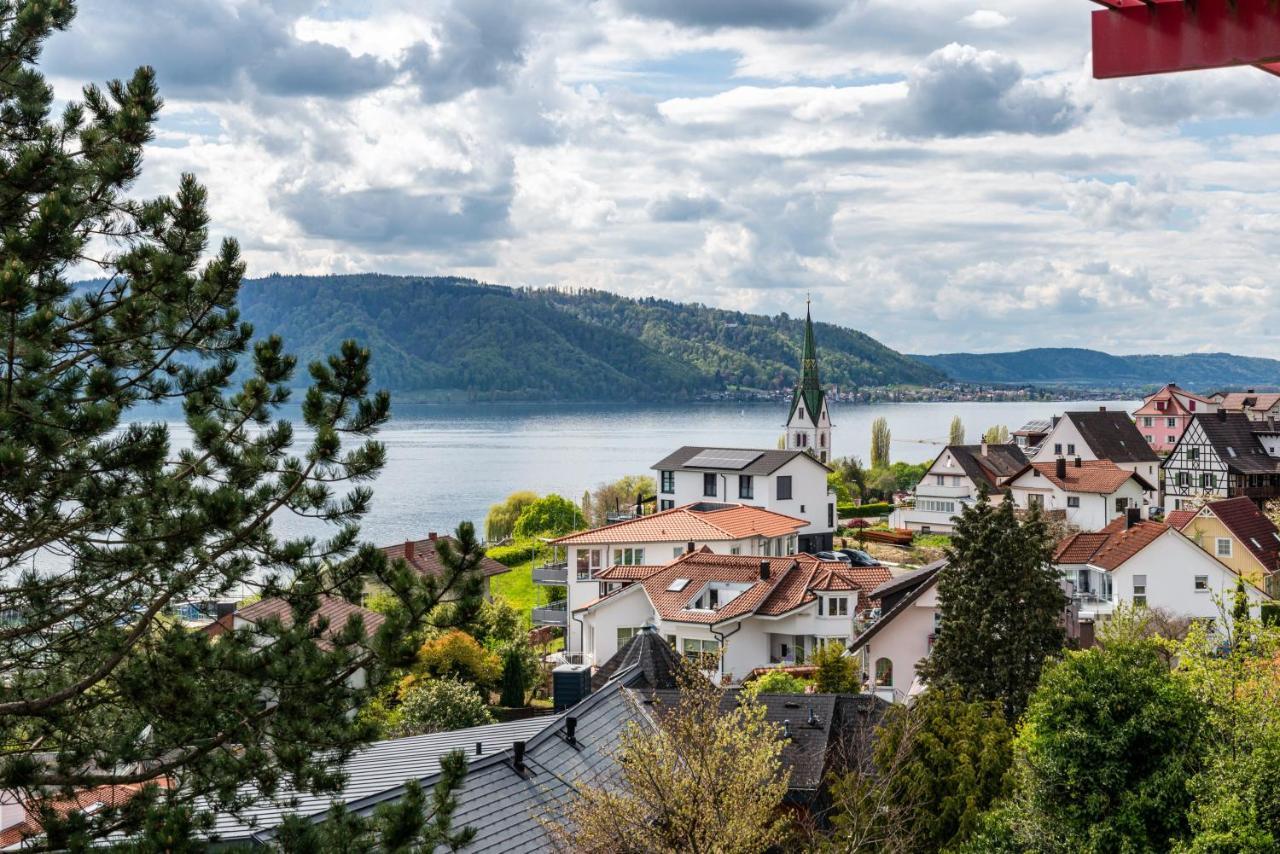 Adlerhorst Ueber Dem Bodensee Villa Зиплинген Екстериор снимка