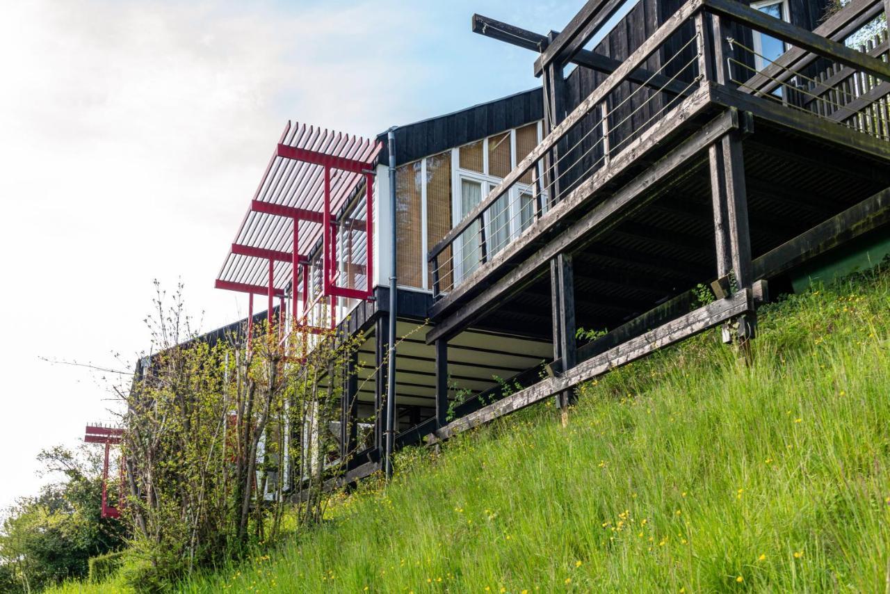 Adlerhorst Ueber Dem Bodensee Villa Зиплинген Екстериор снимка